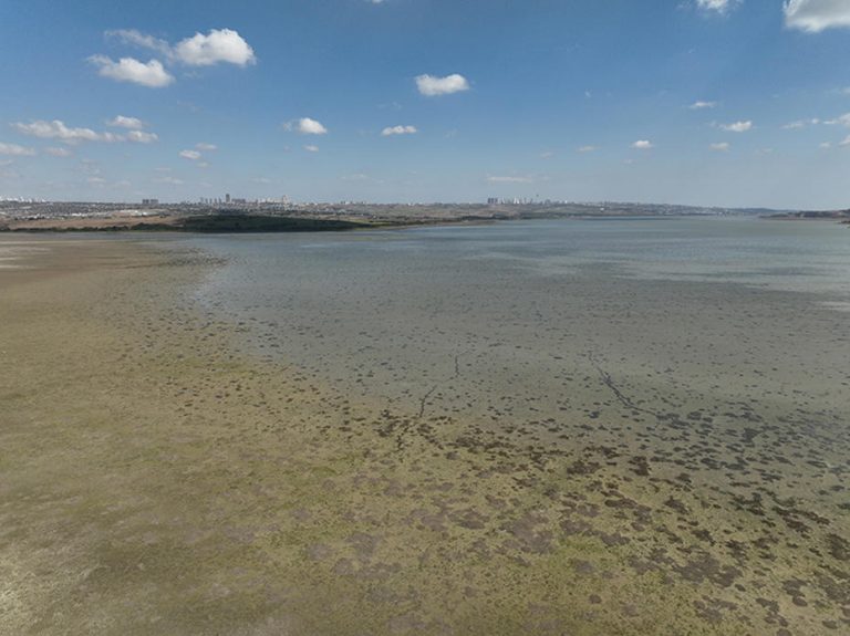 İstanbul’un Barajlarındaki Güncel Durum ve Su Kaynakları Hakkında Son Gelişmeler
